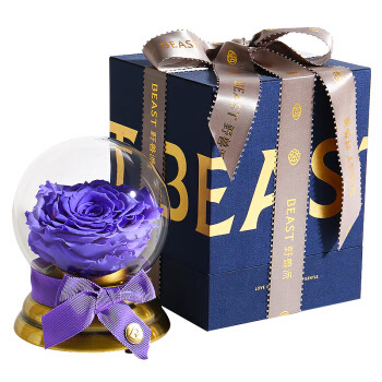 野兽派（THE BEAST）紫雨 音乐水晶球巨型永生花玫瑰礼盒 保鲜花盒 玫瑰花七夕情人节礼物 生日礼品 送女生