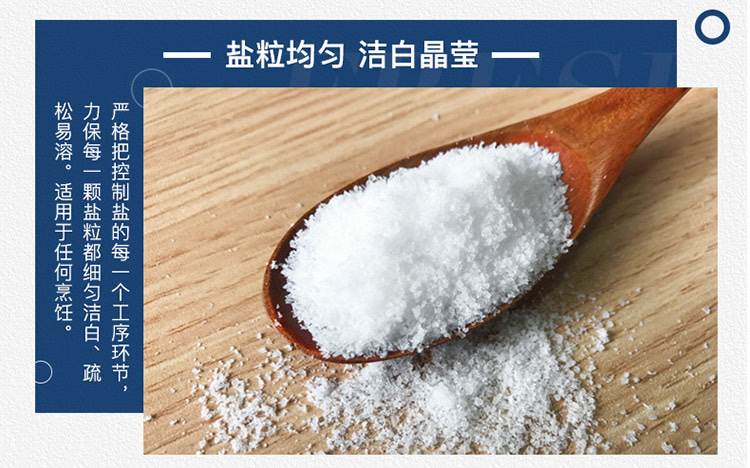 粤盐(yueyan)澳洲湖中盐加碘盐雪晶食用盐巴细盐罐装450g 调味品烧烤